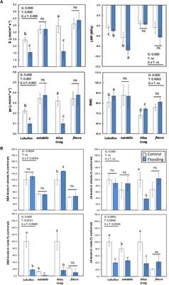 Identification of ABA-Mediated Genetic and Metabolic Responses to Soil Flooding in Tomato (Solanum lycopersicum L. Mill)